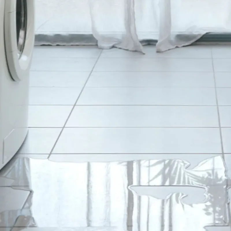 Appliance Leak Cleanup in Carson City, NV