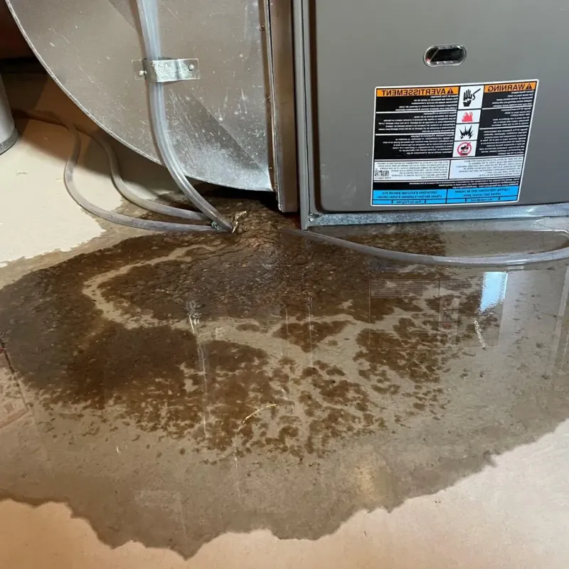 Pipe Burst and Leak Restoration in Carson City, NV
